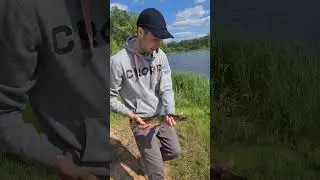 Поймал ЩУКУ - отпусти #shorts