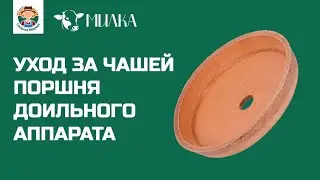 Уход за чашей поршня доильного аппарата «Милка»