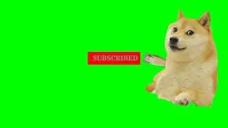 Doge Subscribe Button Green Screen || Youtube Subscribe Button Green Screen