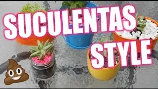 DIY Decorando Suculentas || Vlogging Malibu || Angel Cazarin