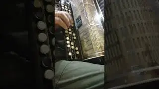 24 января 2024 г.