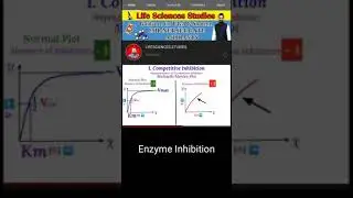 Competitive Enzym Inhibition Full Explanation | Life Sciences Biochemistry | #shorts