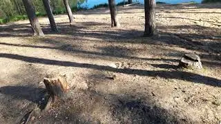 Радоновое озеро, Себежский район. 