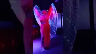 PAP25 - Liska ASTRALSKAZALFEST2 Танцпрезентация 020424 Песочница Спб Video 2