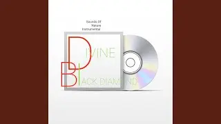Sounds of Nature Instrumental Divine Black Diamond