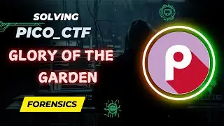 Glory of the Garden | Forensics | picoCTF Walkthrough