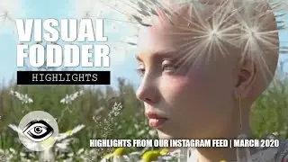 Video highlights from the Visual Fodder Instagram feed, March 2020