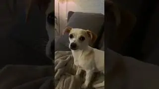 What are we watching? 