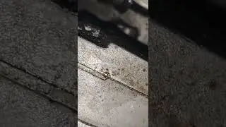 и снова течь масла туарег БКС 3л дизель
