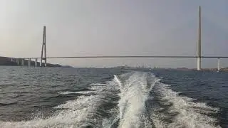 5 ноября 2020 г.