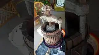 Отжим виноградной мезги