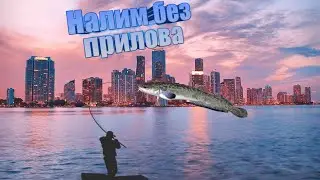 как поймать Налима в игре my fishing world