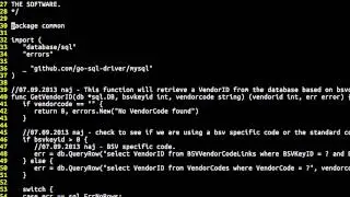 Working With Packages in Go (Golang)