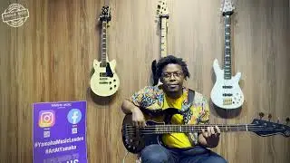 Bass Guitars In Depth | Given From Stone Jets | Yamaha Music London