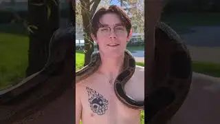 Snakes & Milk