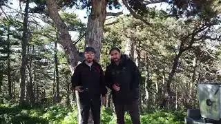 ÇAMLIK MİLLİ PARK'IMIZIN DRONE GÖRÜNTÜLERİ / YOZGAT