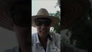 Открыл август приятным жерехом 