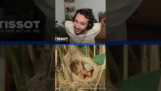 What's this story?!