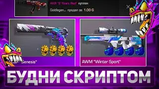 ТРЕЙД БУДНИ СКРИПТОМ В STANDOFF 2 / НАТРЕЙДИЛ 1000 ГОЛДЫ ЗА 2 ДНЯ / ТРЕЙД СКРИПТОМ В STANDOFF 2