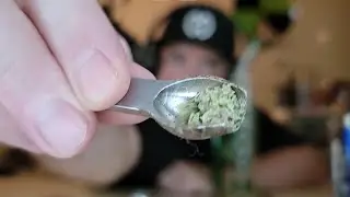 Vapvana Ace microdosing cannabis with the Pinch Hitter bowl (ball vape on a bong)