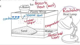 Energy Transfer and Matter Box Demo - Walkthrough