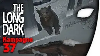 THE LONG DARK #37 - Verfolgungsjagd - (Gameplay/Deutsch)