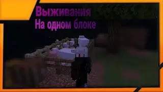 ВЫЖИВАНИЕ НА ОДНОМ БЛОКЕ В МАЙНКРАФТЕ #1//OT CAШИ//MINECRAFT
