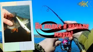 Нашли заветную яму, а в ней РАЗДАЧА Хищника!