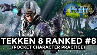 Pocket Character Practice | Tekken 8 Lee Gameplay