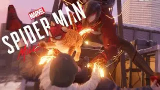 MILES AND SPIDER-CAT | Spider-Man: Miles Morales