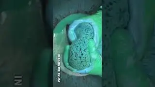 Neon Flash Cleaner 