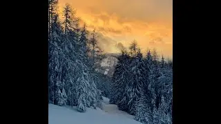 Посев закалёнными семенами за Уралом и в Сибири.