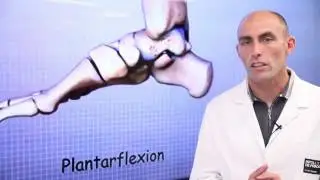 26 Lesiones de Tobillo en el Deporte