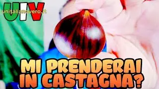 Prendere in castagna (cogliere in fallo, in errore) | UIV Un Italiano Vero