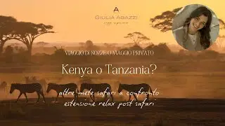 Safari in Africa: quale scegliere tra Kenya, Tanzania, Sudafrica e Namibia? 