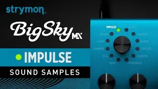 Strymon BigSky MX | Sound Samples | Impulse Responses