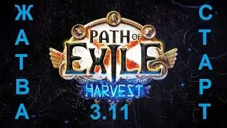 Path of Exile 3.11: фарм-фарм-фарм