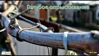 Голубое опрыскивание