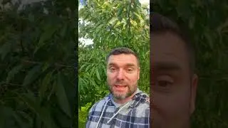 ЭТО КОНЕЦ! ПРОЩАЙ любимый сад! 
