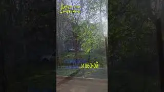Как приходит весна   #ставрополь #такойставрополь
