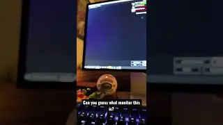 Pov You Spent The Pc Budget On A Monitor 