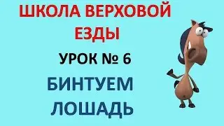 Бинтуем лошадь