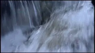 M Acqua