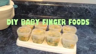 DIY MAKING ORGANIC FINGER FOOD STYLE BABY FOOD, BABY LED WEANING, OR BABY LED SOLIDS