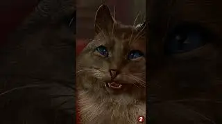 Queen of cats ! #Baldursgate3
