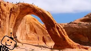 World's Biggest Extreme Rope Swing
