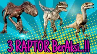 DINOSAURUS ♦ 3 Dino Raptor Sedang BerAksi...❗