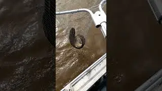 Чуть мне удочку не сломал!!!