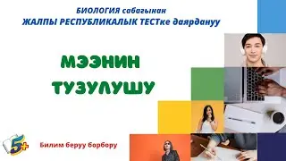 МЭЭ. МЭЭНИН ТУЗУЛУШУ. ЖРТга даярдык