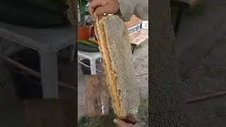 Аппетитные медовые рамки!